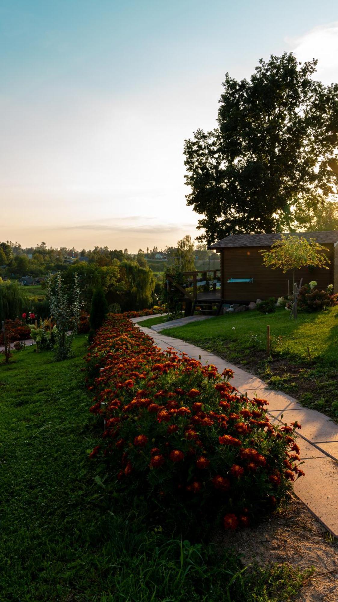 Campsite Ilsa Bauska